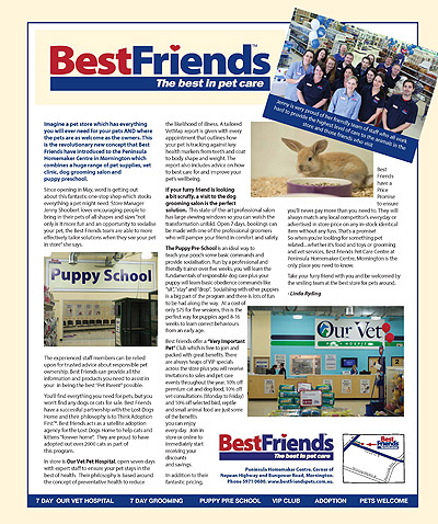 GoodLife: Peninsula Style - Page 99